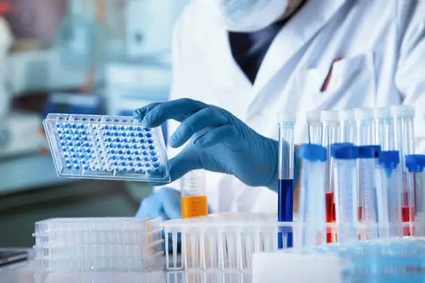 What Is a Genetic Testing Panel? How It Can Personalize Your Health and Wellness Plan
